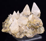 9.6cms CALCITE TOOTH DOG Peru Crystals Mineral Specimen Collector G268