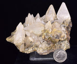 9.6cms CALCITE TOOTH DOG Peru Crystals Mineral Specimen Collector G268