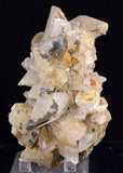 11cms CALCITE TOOTH DOG Peru Crystals Mineral Specimen Collector G270