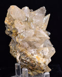 11cms CALCITE TOOTH DOG Peru Crystals Mineral Specimen Collector G270