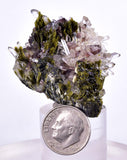 4.5cms AXINITE QUARTZ CRYSTALS Epidote Cluster Prehnite Peru Mineral Specimen Collectors A616