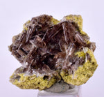 2.6cms AXINITE CRYSTALS PREHNITE Cluster Peru Mineral Specimen Collectors A603