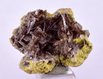 2.6cms AXINITE CRYSTALS PREHNITE Cluster Peru Mineral Specimen Collectors A603