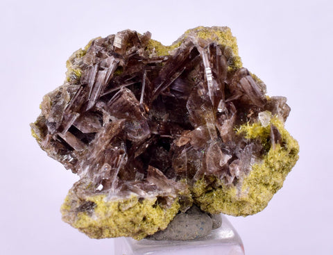 2.6cms AXINITE CRYSTALS PREHNITE Cluster Peru Mineral Specimen Collectors A603