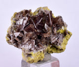 2.6cms AXINITE CRYSTALS PREHNITE Cluster Peru Mineral Specimen Collectors A603