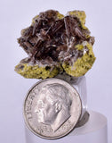 2.6cms AXINITE CRYSTALS PREHNITE Cluster Peru Mineral Specimen Collectors A603