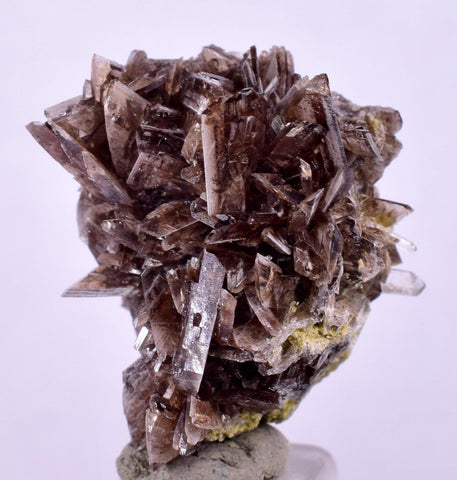 2.2cms AXINITE CRYSTALS PREHNITE Cluster Peru Mineral Specimen Collectors A605