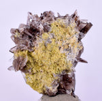 2.2cms AXINITE CRYSTALS PREHNITE Cluster Peru Mineral Specimen Collectors A605