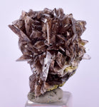 2.2cms AXINITE CRYSTALS PREHNITE Cluster Peru Mineral Specimen Collectors A605