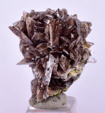 2.2cms AXINITE CRYSTALS PREHNITE Cluster Peru Mineral Specimen Collectors A605