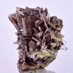 2.2cms AXINITE CRYSTALS PREHNITE Cluster Peru Mineral Specimen Collectors A605