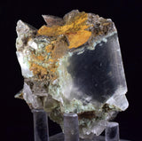 7.1cms SELENITE CRYSTALS CHRYSOCOLLA Lily Mine Peru Gypsum Mineral Specimen T463