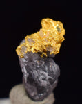 0.7cms NATIVE GOLD QUARTZ of the Incas Thumbnail Aesthetic Wire Gem Crystal Smoky Quartz Peru Rare Mineral Specimen L265