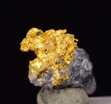 0.7cms NATIVE GOLD QUARTZ of the Incas Thumbnail Aesthetic Wire Gem Crystal Smoky Quartz Peru Rare Mineral Specimen L265