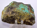 12cms GEM SILICA CHRYSOCOLLA Druzy Quartz Peru Mineral Specimen D280