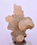 4.4cms PREHNITE  EPIDOTE CRYSTALS Tourmaline Zoisite Peru Mineral Specime UE197