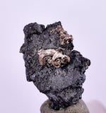 0.9cms NATIVE SILVER WIRES Peru Uchuchaccua Mine 2000 Discovery Mineral Specimen H369