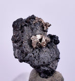 0.9cms NATIVE SILVER WIRES Peru Uchuchaccua Mine 2000 Discovery Mineral Specimen H369