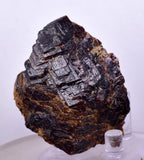 5.5cms GARNET ANDRADITE STEPPED Spessartine Crystal Rare Peru Grossular Peru Gemstone Mineral Specimen G264
