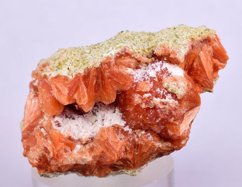 3.8cm RED ORANGE STILBITE Laumontite Crystals Peru Mineral Specimen F449