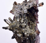 4.8cms AXINITE QUARTZ CRYSTALS Epidote Cluster Prehnite Peru Mineral Specimen Collectors A613