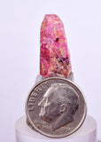 18cts RUBY CRYSTAL CORUNDUM Natural Rough Red Tanzania Mineral Specimen Y85