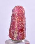 16cts RUBY CRYSTAL CORUNDUM Natural Rough Red Tanzania Mineral Specimen Y86