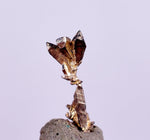 0.7cms NATIVE SILVER WIRES  Peru Mineral Specimen H374