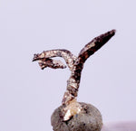 0.6cms NATIVE SILVER WIRES  Peru Mineral Specimen H375
