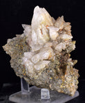 8.6cms CALCITE TOOTH DOG Peru Crystals Mineral Specimen Collector G266