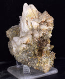 8.6cms CALCITE TOOTH DOG Peru Crystals Mineral Specimen Collector G266