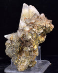 8.6cms CALCITE TOOTH DOG Peru Crystals Mineral Specimen Collector G266