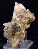 8.6cms CALCITE TOOTH DOG Peru Crystals Mineral Specimen Collector G266