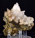 8.6cms CALCITE TOOTH DOG Peru Crystals Mineral Specimen Collector G266
