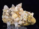 9cms CALCITE TOOTH DOG Peru Crystals Mineral Specimen Collector G267