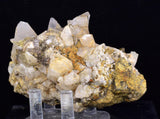 9cms CALCITE TOOTH DOG Peru Crystals Mineral Specimen Collector G267