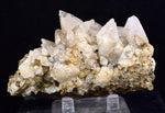 9cms CALCITE TOOTH DOG Peru Crystals Mineral Specimen Collector G267