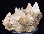 9.6cms CALCITE TOOTH DOG Peru Crystals Mineral Specimen Collector G268