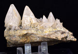 9.6cms CALCITE TOOTH DOG Peru Crystals Mineral Specimen Collector G268