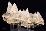 9.6cms CALCITE TOOTH DOG Peru Crystals Mineral Specimen Collector G268