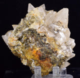 8cms CALCITE TOOTH DOG Peru Crystals Mineral Specimen Collector G269