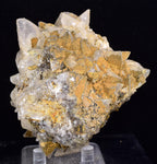 8cms CALCITE TOOTH DOG Peru Crystals Mineral Specimen Collector G269