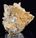 8cms CALCITE TOOTH DOG Peru Crystals Mineral Specimen Collector G269