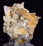 8cms CALCITE TOOTH DOG Peru Crystals Mineral Specimen Collector G269