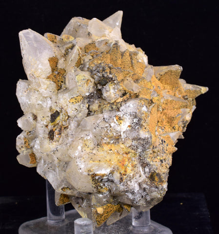 8cms CALCITE TOOTH DOG Peru Crystals Mineral Specimen Collector G269
