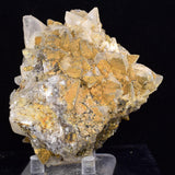 8cms CALCITE TOOTH DOG Peru Crystals Mineral Specimen Collector G269