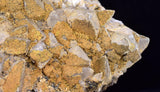 8cms CALCITE TOOTH DOG Peru Crystals Mineral Specimen Collector G269