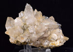 11cms CALCITE TOOTH DOG Peru Crystals Mineral Specimen Collector G270