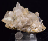 11cms CALCITE TOOTH DOG Peru Crystals Mineral Specimen Collector G270