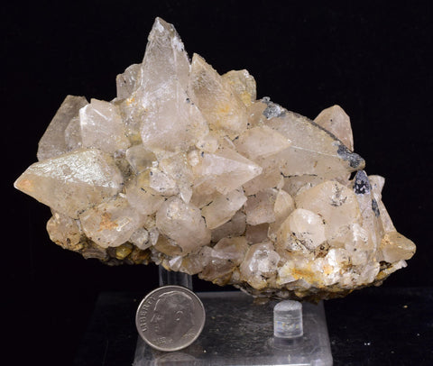 11cms CALCITE TOOTH DOG Peru Crystals Mineral Specimen Collector G270